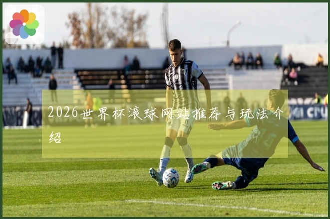 2026世界杯滚球网站推荐与玩法介绍