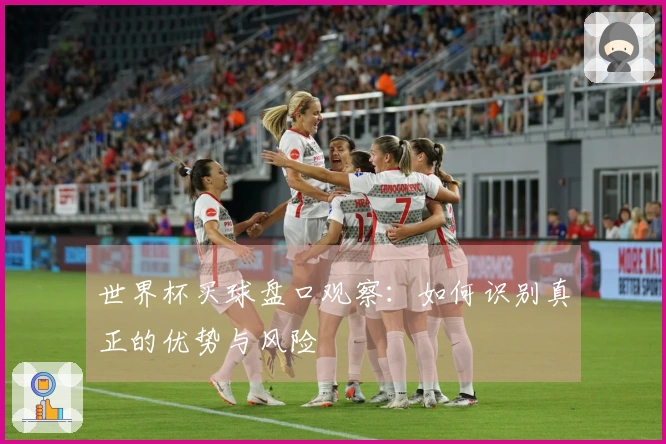 世界杯买球盘口观察：如何识别真正的优势与风险