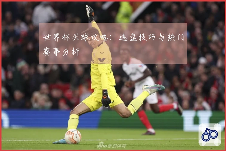世界杯买球攻略：选盘技巧与热门赛事分析