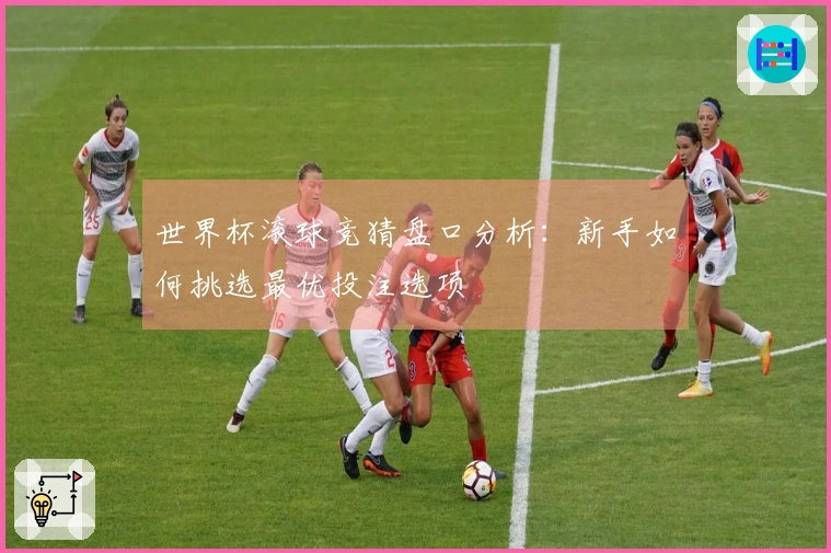 世界杯滚球竞猜盘口分析：新手如何挑选最优投注选项
