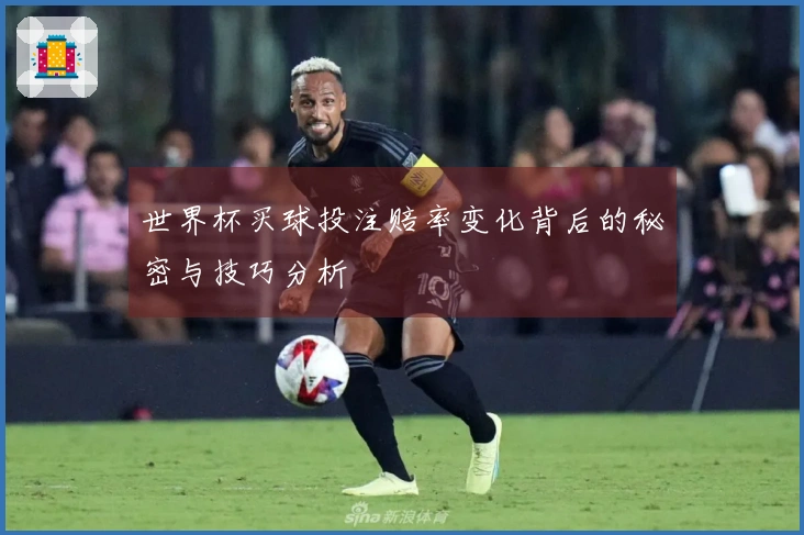 世界杯买球投注赔率变化背后的秘密与技巧分析