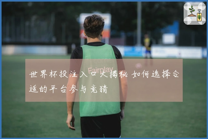 世界杯投注入口大揭秘 如何选择合适的平台参与竞猜