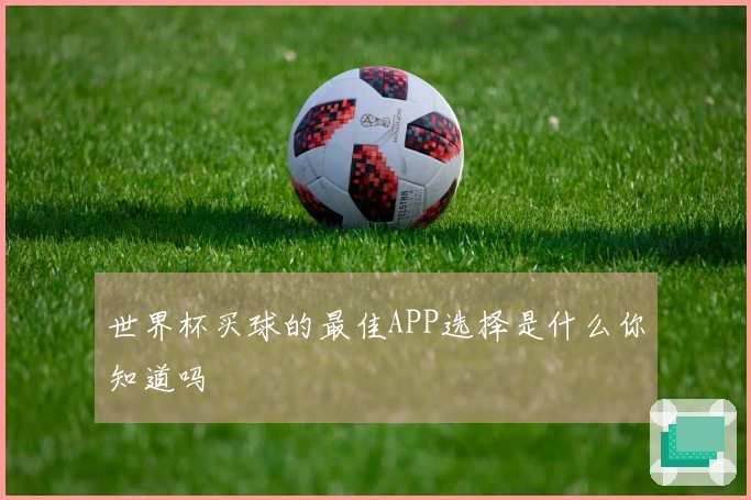 世界杯买球的最佳APP选择是什么你知道吗
