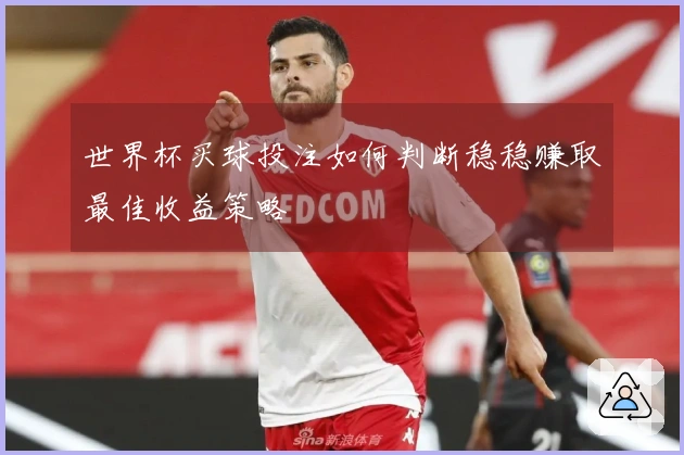 世界杯买球投注如何判断稳稳赚取最佳收益策略