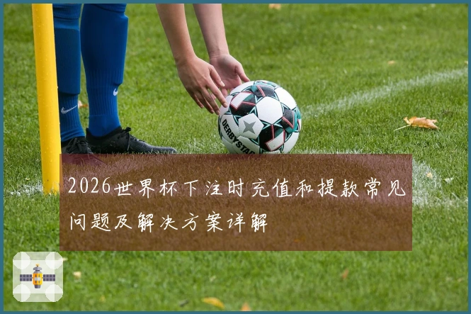 2026世界杯下注时充值和提款常见问题及解决方案详解