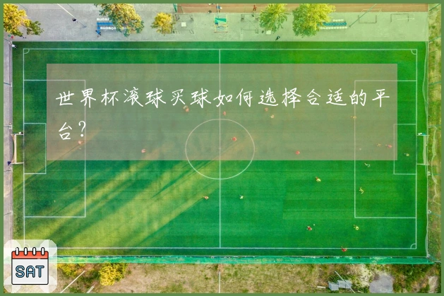 世界杯滚球买球如何选择合适的平台？