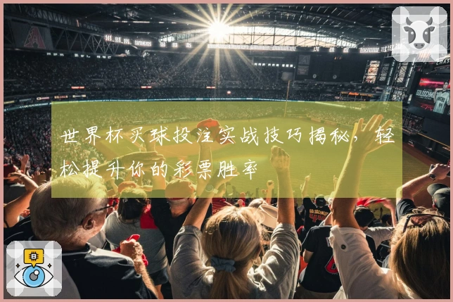 世界杯买球投注实战技巧揭秘，轻松提升你的彩票胜率