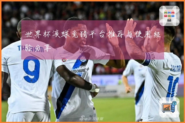 世界杯滚球竞猜平台推荐与使用经验分享