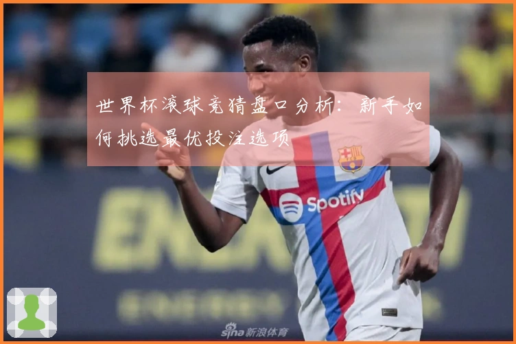 世界杯滚球竞猜盘口分析：新手如何挑选最优投注选项