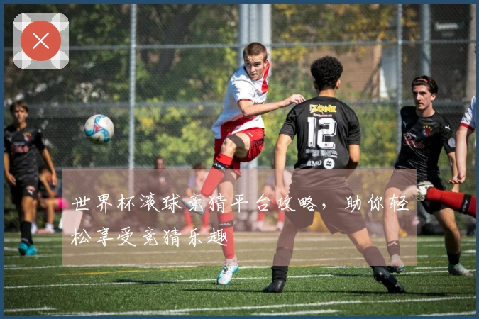 世界杯滚球竞猜平台攻略，助你轻松享受竞猜乐趣