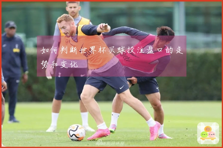 如何判断世界杯买球投注盘口的走势和变化