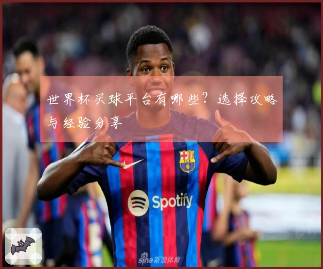 世界杯买球平台有哪些？选择攻略与经验分享