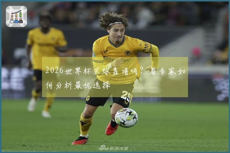 2026世界杯买球靠谱吗？看专家如何分析最优选择