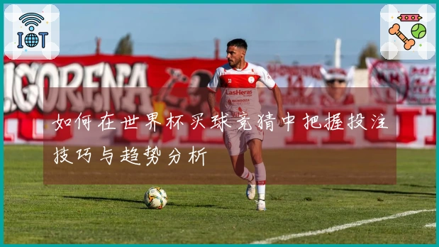 如何在世界杯买球竞猜中把握投注技巧与趋势分析