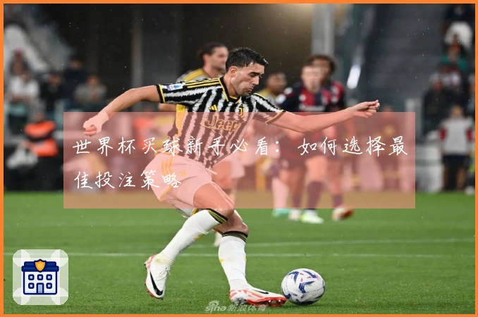 世界杯买球新手必看：如何选择最佳投注策略