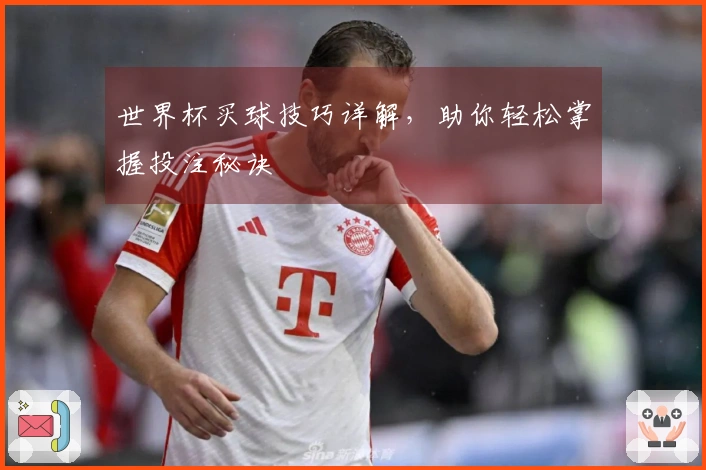 世界杯买球技巧详解，助你轻松掌握投注秘诀