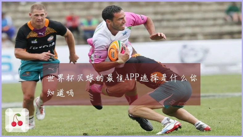 世界杯买球的最佳APP选择是什么你知道吗