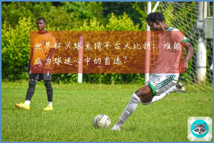 世界杯买球竞猜平台大比拼：谁能成为球迷心中的首选？