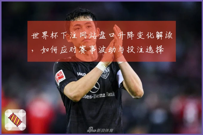 世界杯下注网站盘口升降变化解读，如何应对赛事波动与投注选择
