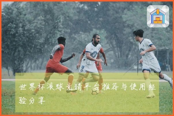 世界杯滚球竞猜平台推荐与使用经验分享