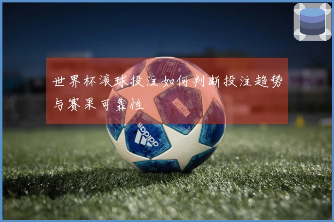 世界杯滚球投注如何判断投注趋势与赛果可靠性