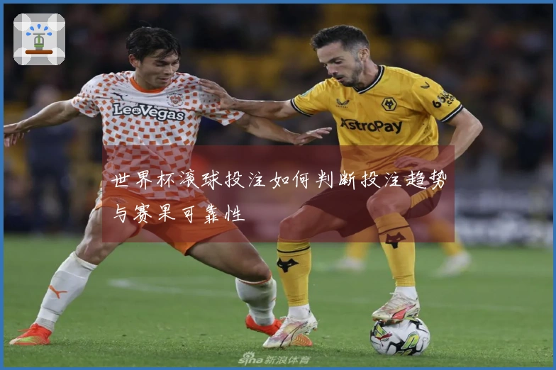 世界杯滚球投注如何判断投注趋势与赛果可靠性
