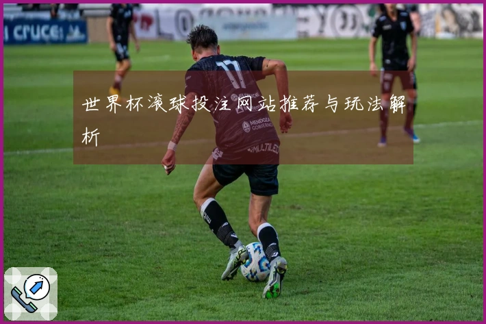 世界杯滚球投注网站推荐与玩法解析