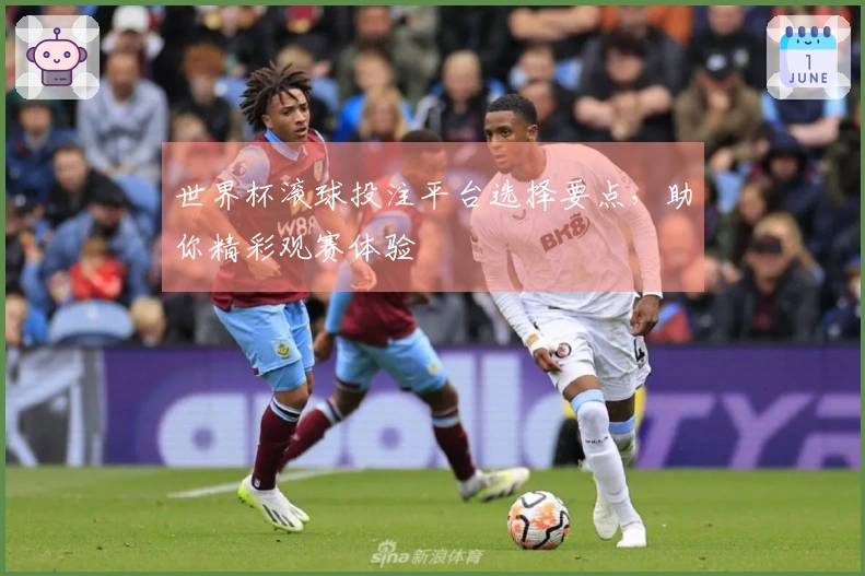 世界杯滚球投注平台选择要点，助你精彩观赛体验